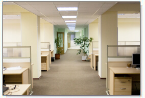Carpet Cleaning Forest Park